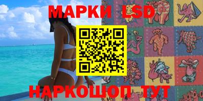 крисы Нальчик