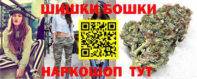 крисы Нальчик
