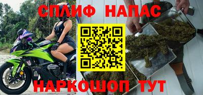 крисы Нальчик
