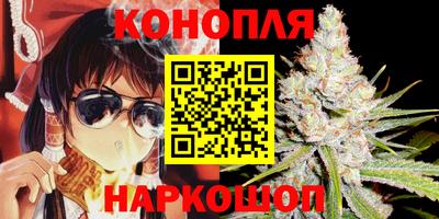 крисы Нальчик