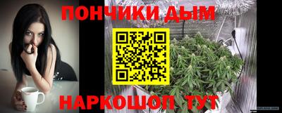 крисы Нальчик