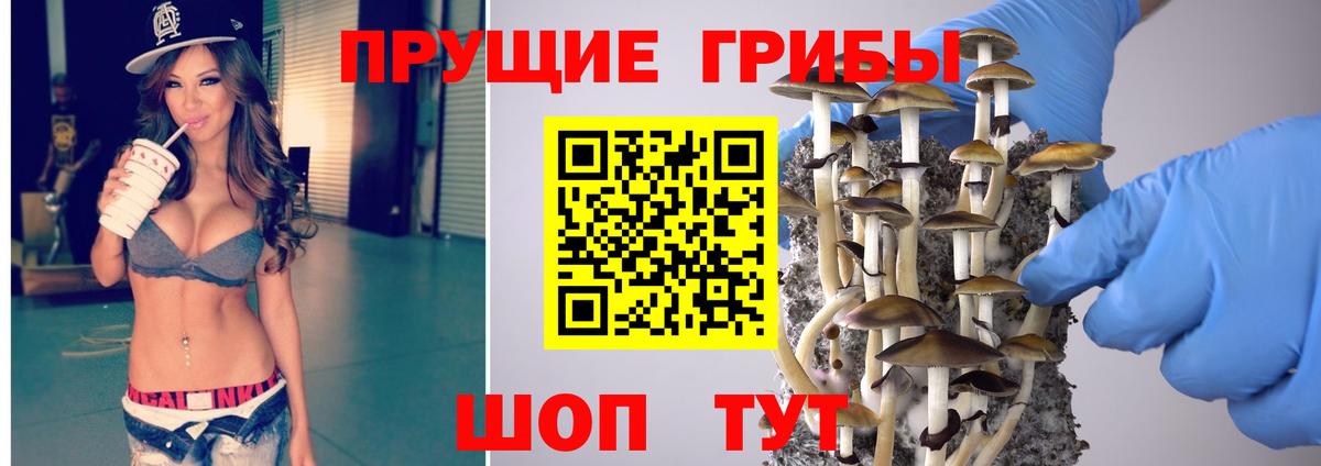Галлюциногенные грибы прущие грибы Сухой Лог