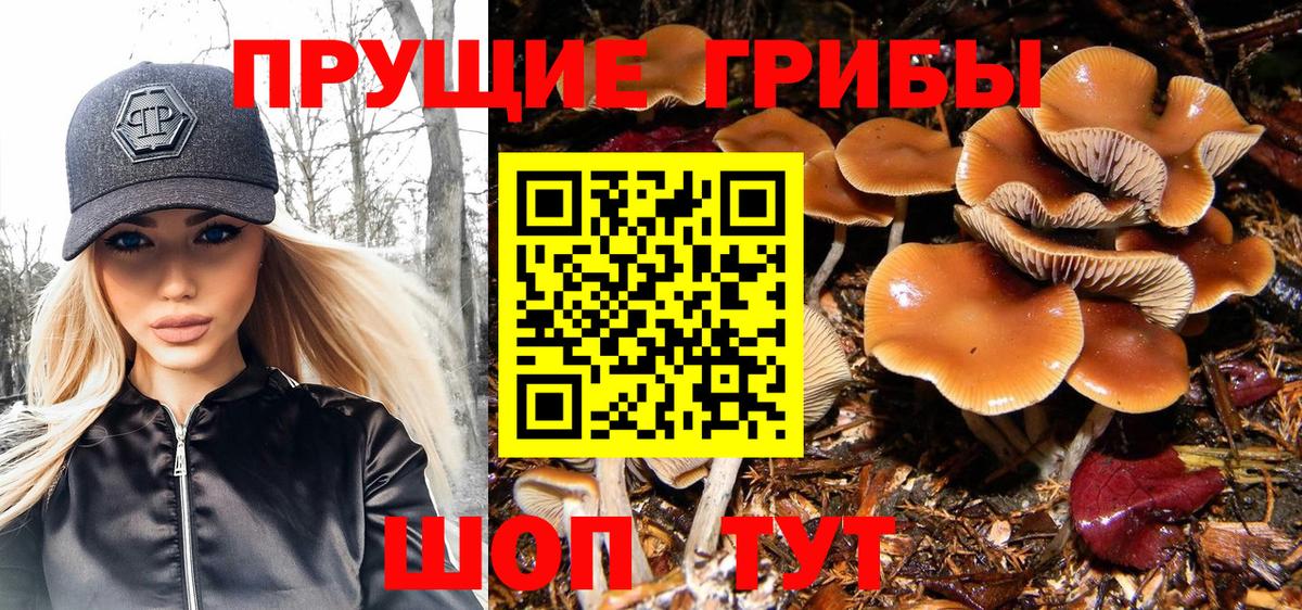 Галлюциногенные грибы ЛСД  Псилоцибиновые грибы Psilocybe  Сухой Лог  Вход с VPN 